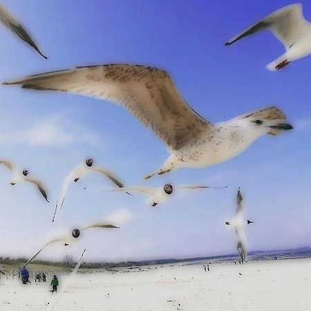 Klein Aber Fein Διαμέρισμα Świnoujście Εξωτερικό φωτογραφία